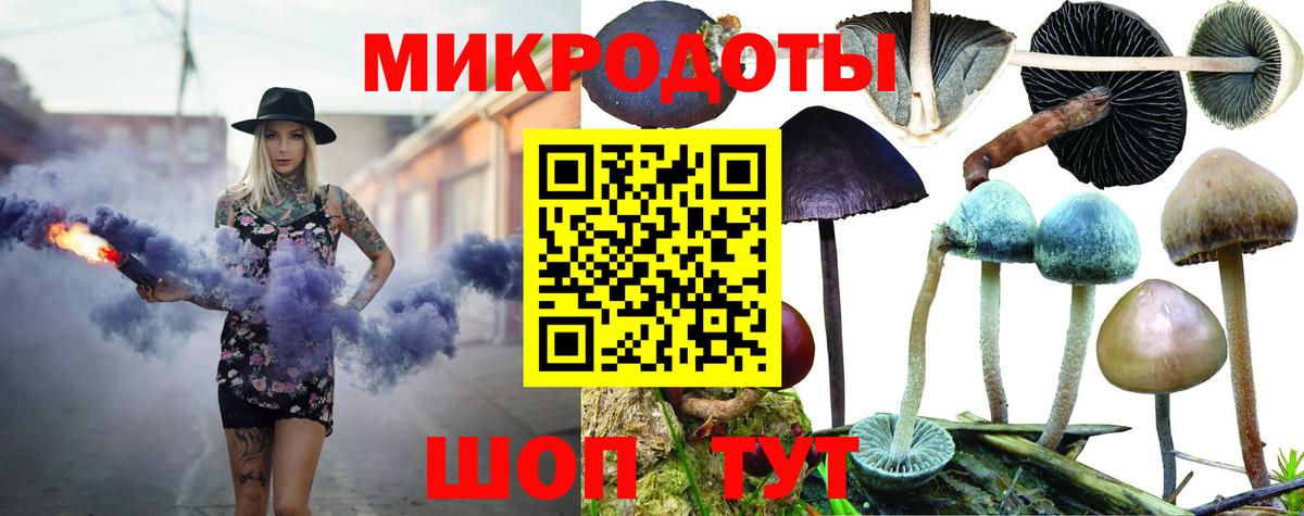 Гулькевичи  что такое   Вход с VPN  Галлюциногенные грибы ЛСД 