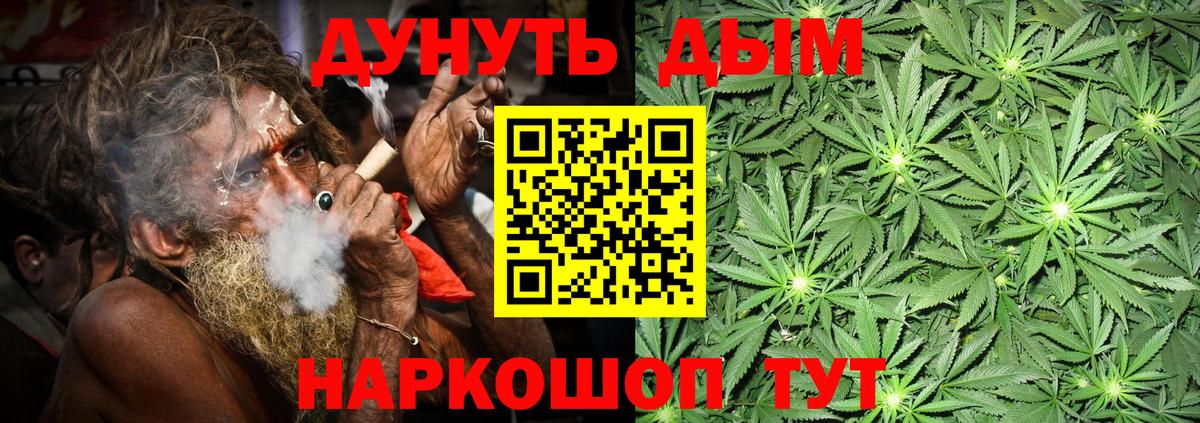 Конопля семена  Бошки марихуана план  Вход с VPN  Гулькевичи  Бошки марихуана AK-47  Бошки марихуана ГИДРОПОН 